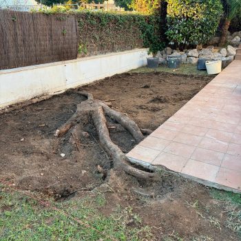 Antes (1)
