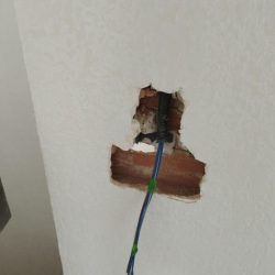 WhatsApp Image 2024-02-20 at 08.52.46 (1)