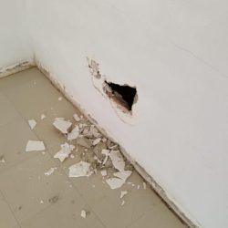 WhatsApp Image 2024-02-20 at 08.52.47 (1)