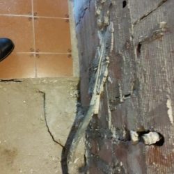 WhatsApp Image 2024-02-20 at 08.52.47 (2)