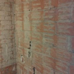 WhatsApp Image 2024-02-20 at 08.52.47 (3)